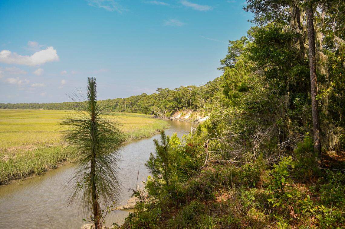 An unspoiled view of the mainland bluff of Pine Island Plantation along Edding Creek on May 23, 2023 where - if developed - either houses and docks would be visible or an 18-hole golf course.
