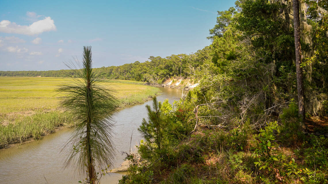Pine Island developer pushes new plan for much-debated Beaufort County property