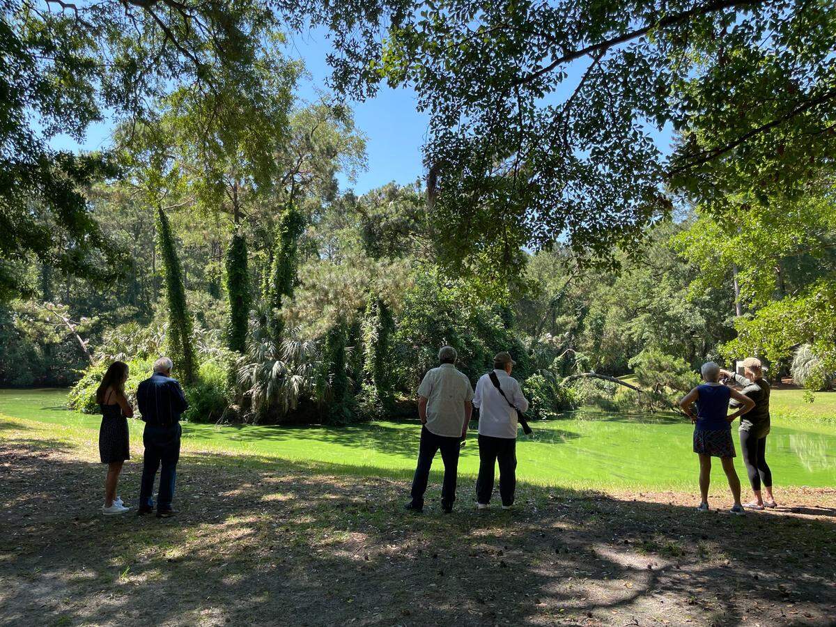 David McNair (center left) stands beside wildlife photographer Bill Bosley (center right) and others at the beloved rookery in Indigo Run on May 14, 2026. Birds flock to this small island of trees in Otter Creek to raise their young every year.