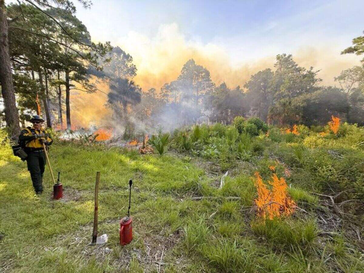 Firefighters work to contain a wildfire on Pinckney Island National Wildlife Refuge. The blaze was started by a lightning strike on Tuesday afternoon and is fully contained as of Wednesday morning.
