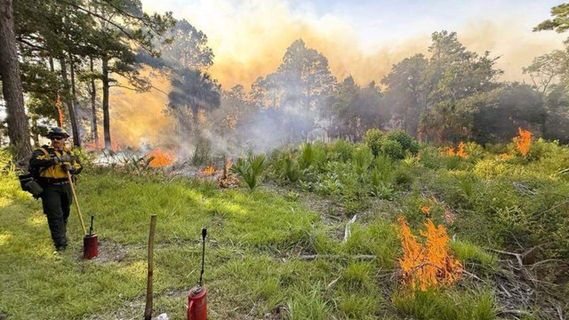 Wildfire risk triggers red flag warning in Beaufort County. What to know
