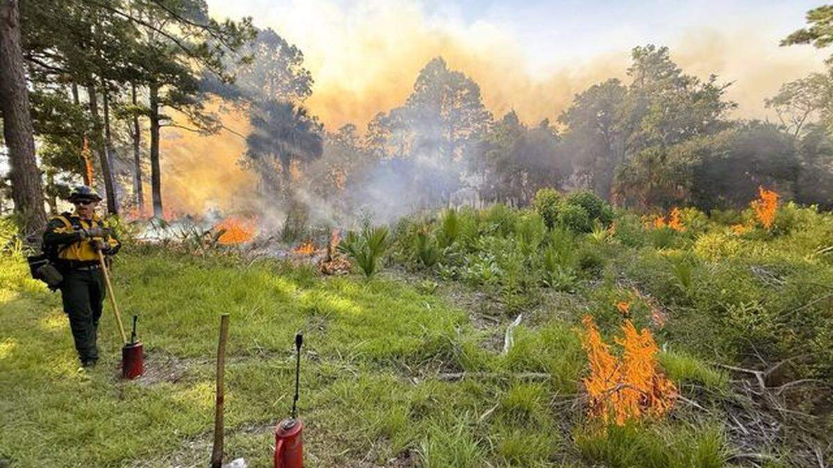Firefighters work to contain a wildfire on Pinckney Island National Wildlife Refuge. The blaze was started by a lightning strike on Tuesday afternoon and is fully contained as of Wednesday morning.