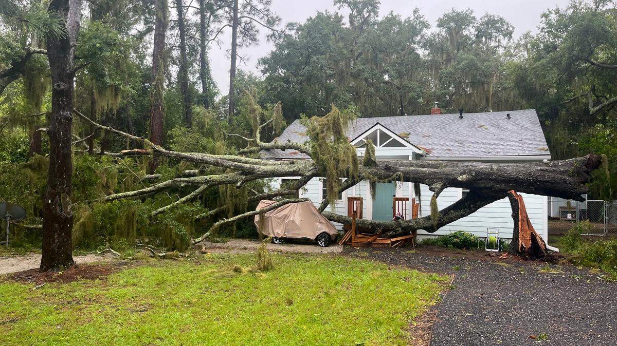 Macon concerned Hurricane Helene will knock trees down. What to do if tree hits your house