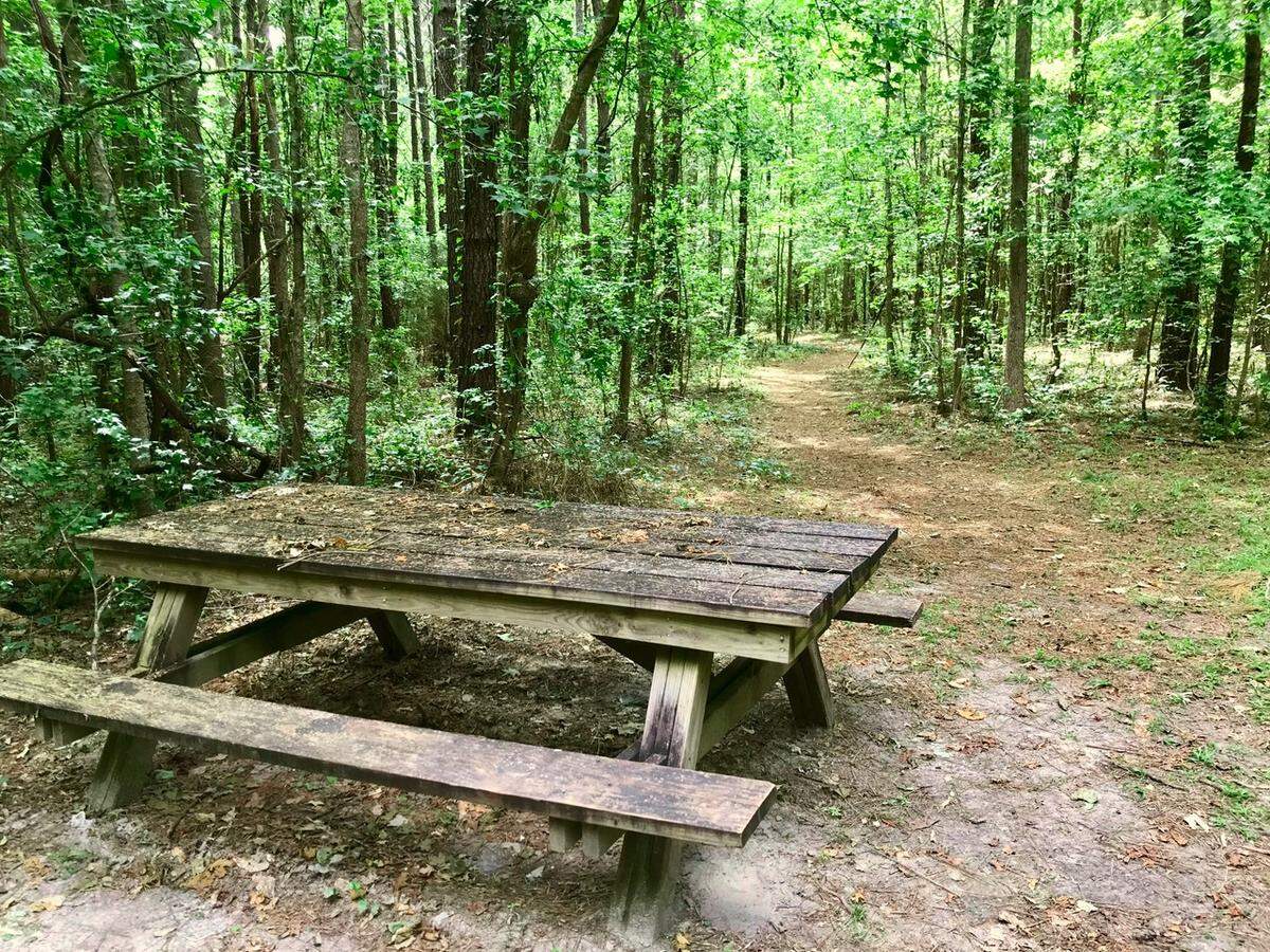 A picnic table at Blue Sky Preserve makes a nice place to rest and enjoy a packed lunch just minutes from downtown Savannah and the bustle of I-95.&nbsp;