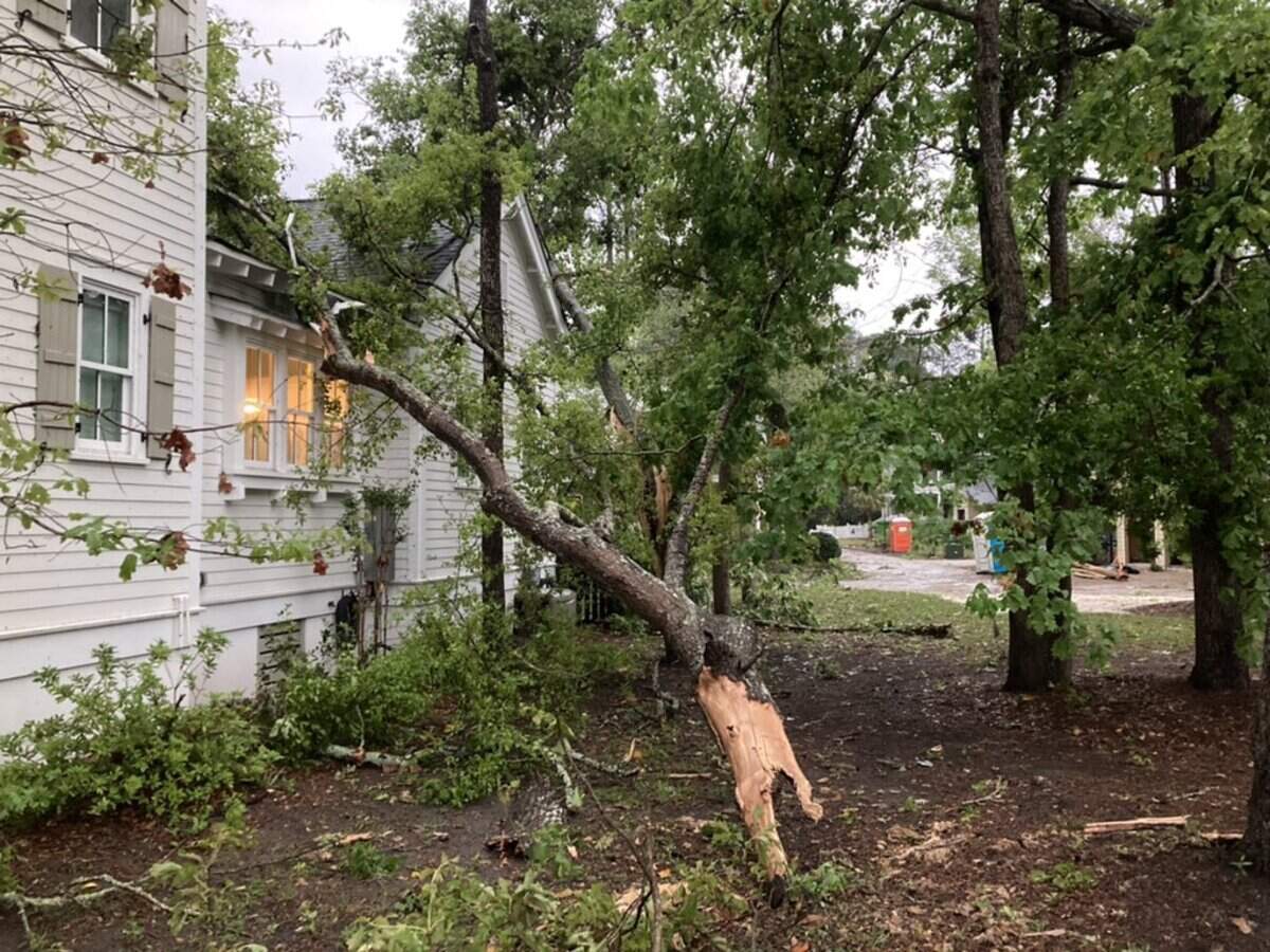A tree that fell down during Tuesday’s storms caused minor damage to Habersham homes, Capt. Dan Byrne from the Burton Fire District.