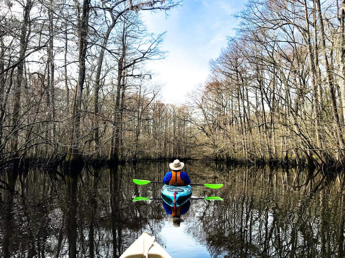 In a quiet lake on a section of the Edisto River near Jacksonboro, kayaker Alan Russell of Simpsonville contemplates the beauty of his Lowcountry surroundings in early spring. The Edisto river, with its countless swampy bends, contains many of these isolated “oxbow” lakes, remnants of this pristine’s ancient past as it meandered back and forth across the bottomland.