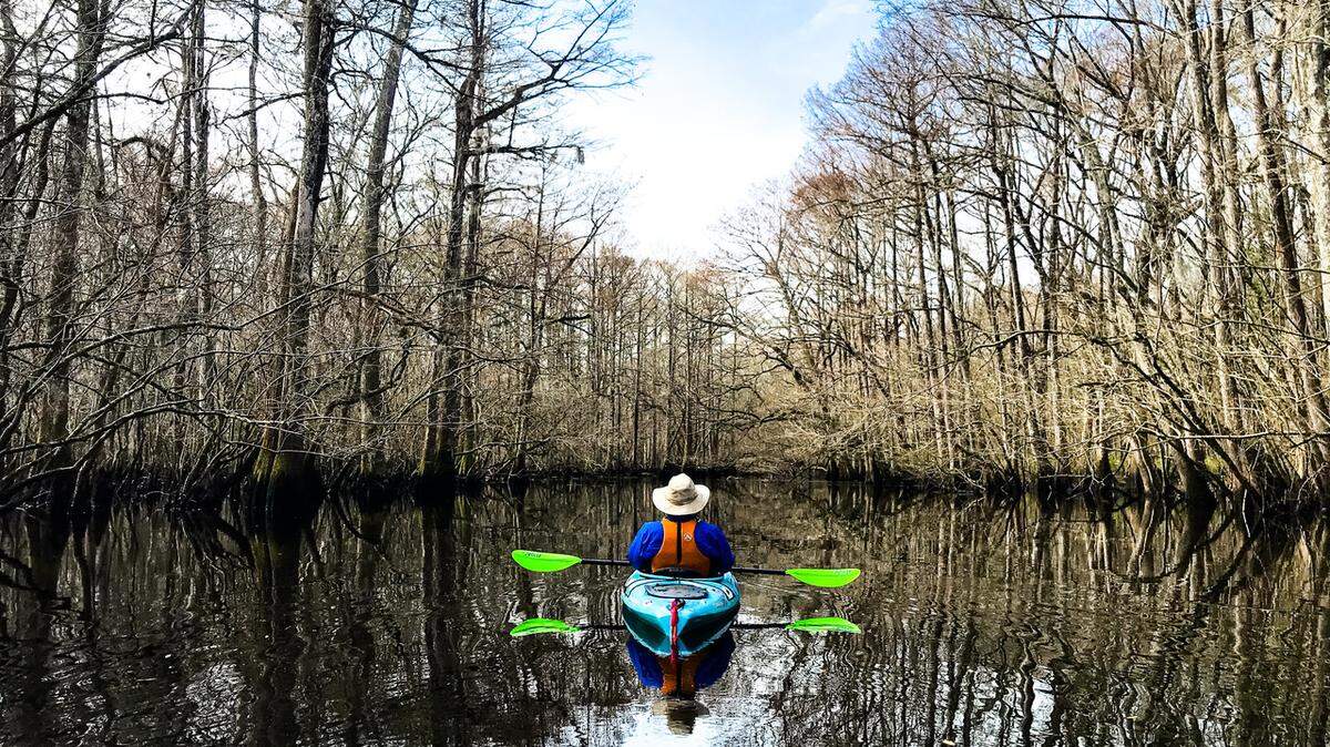In a quiet lake on a section of the Edisto River near Jacksonboro, kayaker Alan Russell of Simpsonville contemplates the beauty of his Lowcountry surroundings in early spring. The Edisto river, with its countless swampy bends, contains many of these isolated “oxbow” lakes, remnants of this pristine’s ancient past as it meandered back and forth across the bottomland.