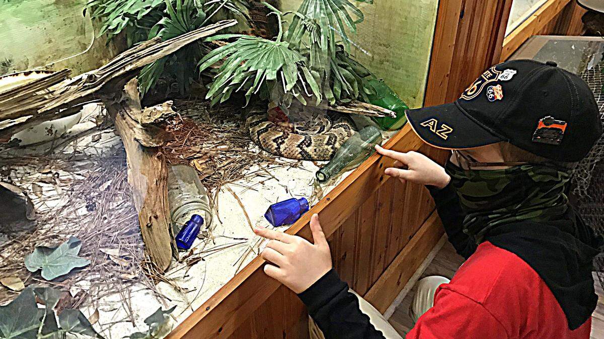 A young visitor is entranced by a deadly canebrake rattlesnake — from behind the safety of a glass barrier. The Serpentarium on Edisto Island is a privately owned “living reptile museum” that offers visitors close-up views of Lowcountry wildlife.