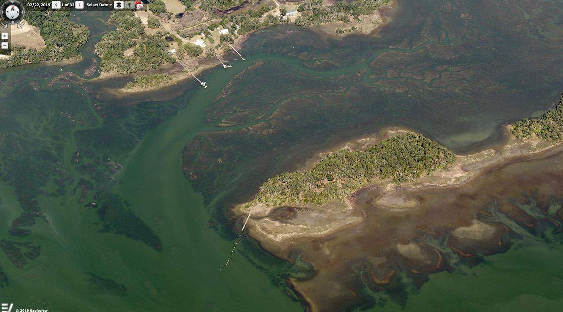 Alex Murdaugh is selling ‘Island A’ seen here in order to pay for legal fees, a part of the Cherry Knoll Hill Islands located offshore of St. Helena Island in Beaufort County.