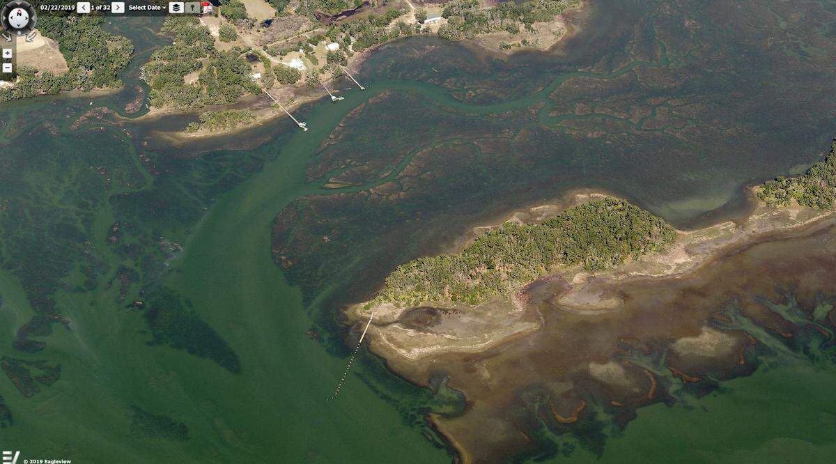 Alex Murdaugh is selling ‘Island A’ seen here in order to pay for legal fees, a part of the Cherry Knoll Hill Islands located offshore of St. Helena Island in Beaufort County.