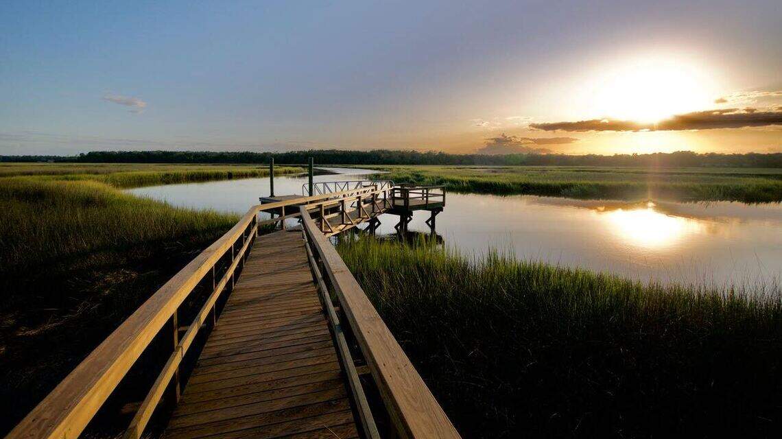 Former Beaufort Co. official sues county administrator, council. He wants his $405 back
