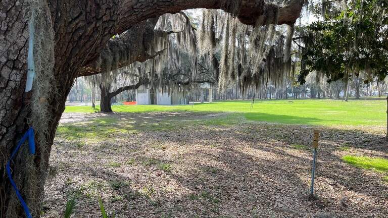 Beaufort is first SC county to ban controversial weed killer on parks and ball fields