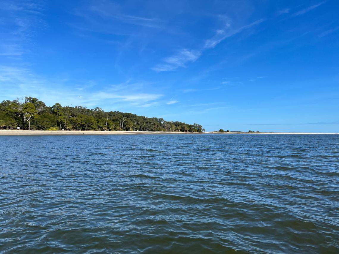 Morgan Island is located on St. Helena Sound. It is home to about 3,500 monkeys.