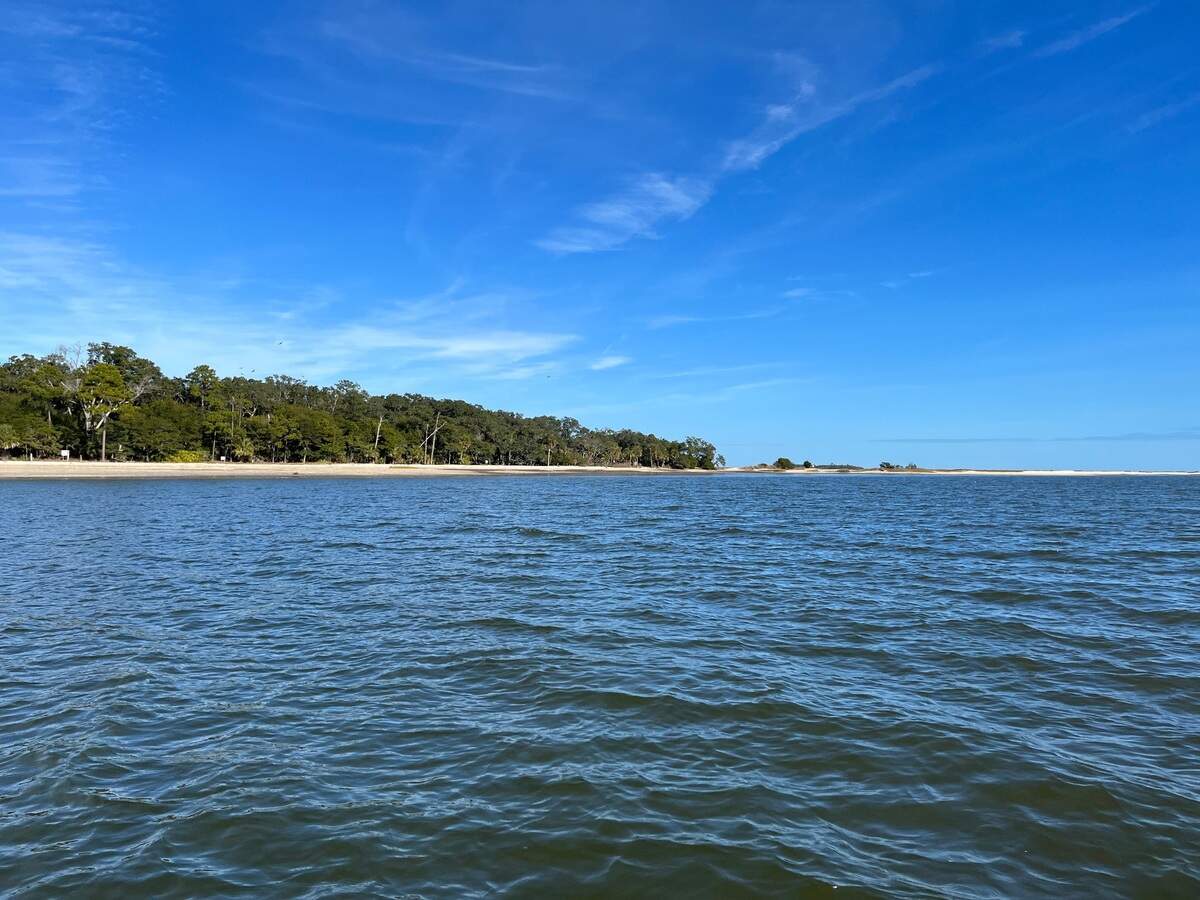 Morgan Island is located on St. Helena Sound. It is home to about 3,500 monkeys.