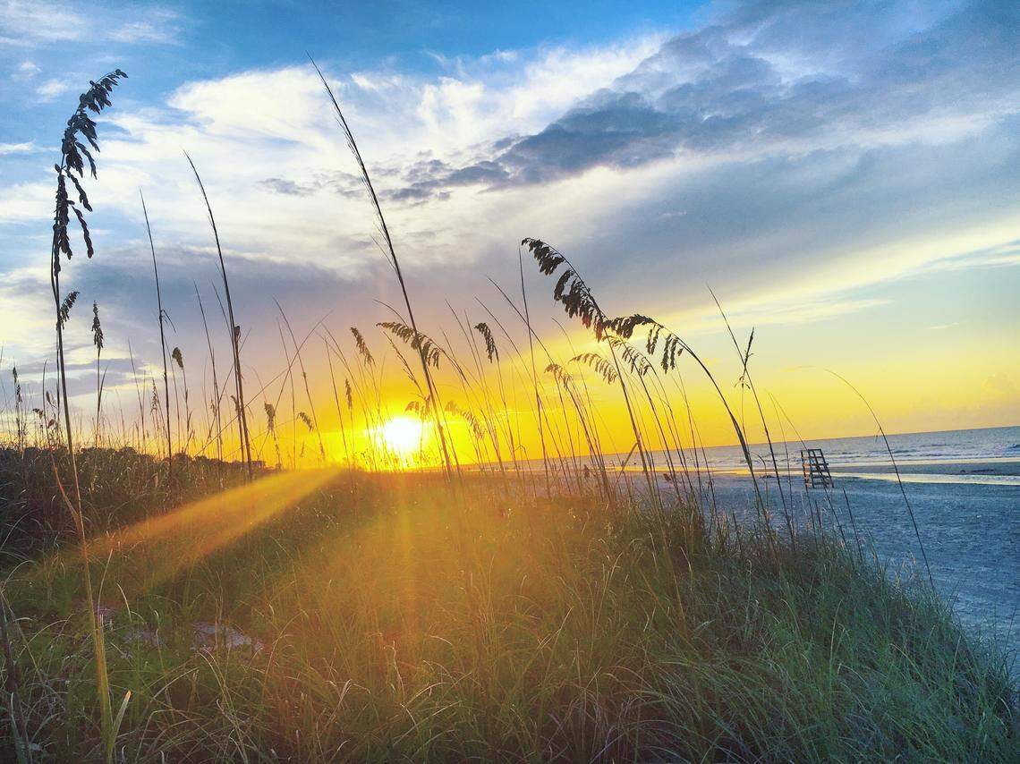The morning sun peaks through the sand dunes on Hilton Head Island