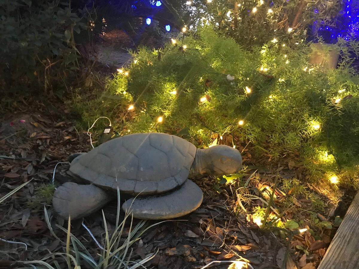 A scene from Hilton Head’s Dove Street Festival of Lights