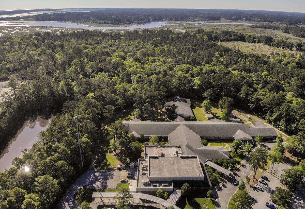 A thick forest separates Okatie Elementary School, foreground, with the Okatie River on Friday, May 1, 2020, the future home of River Oaks. Developers plan to use the 2008 development agreement with Beaufort County, which allows for 330 single and multi-family homes.