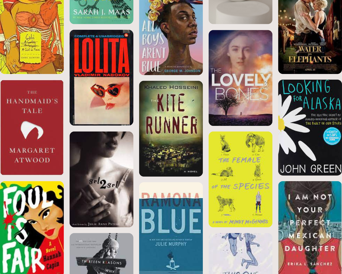 A collection of book titles recently removed from Beaufort County school shelves.
