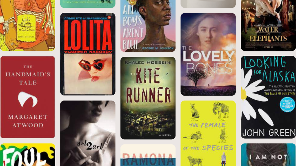 Ten more books face school statewide ban as Beaufort County resident pushes for review