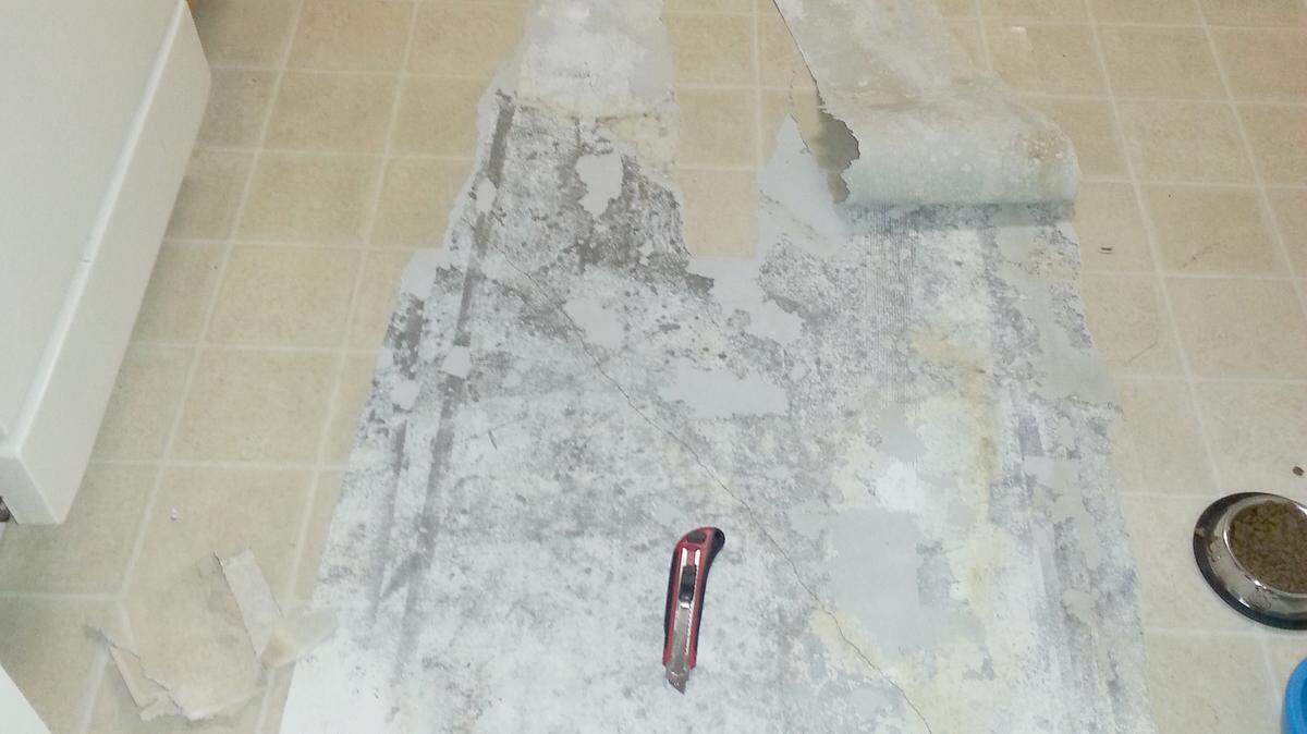 The old sheet vinyl flooring in Erinn McNulty's townhouse was ripped and yellowed from age and had to go. She used a utility knife to slice it into strips to make it easy to tear out.  