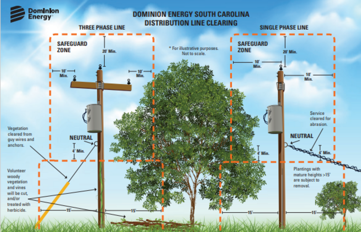 Distribution line cleaning graphic for Dominion Energy South Carolina.