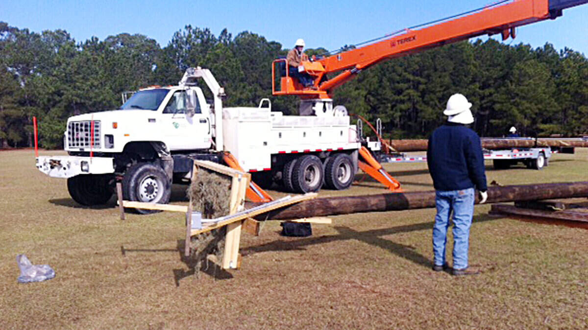 A crew from Santee Cooper prepares to raise a 60-foot pole with an osprey nesting platform attached at the Coastal Discovery Museum at Honey Horn on Feb. 27, 2014. The electrical company provided the pole and equipment to raise it, said Carlos Chacon, manager of natural history at the museum.