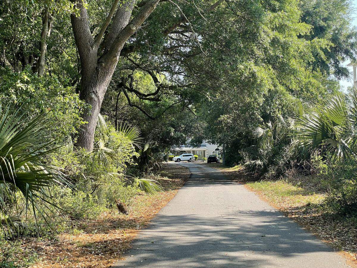 A shaded driveway in the Mitchelville District leads to a home and a hidden historic graveyard.