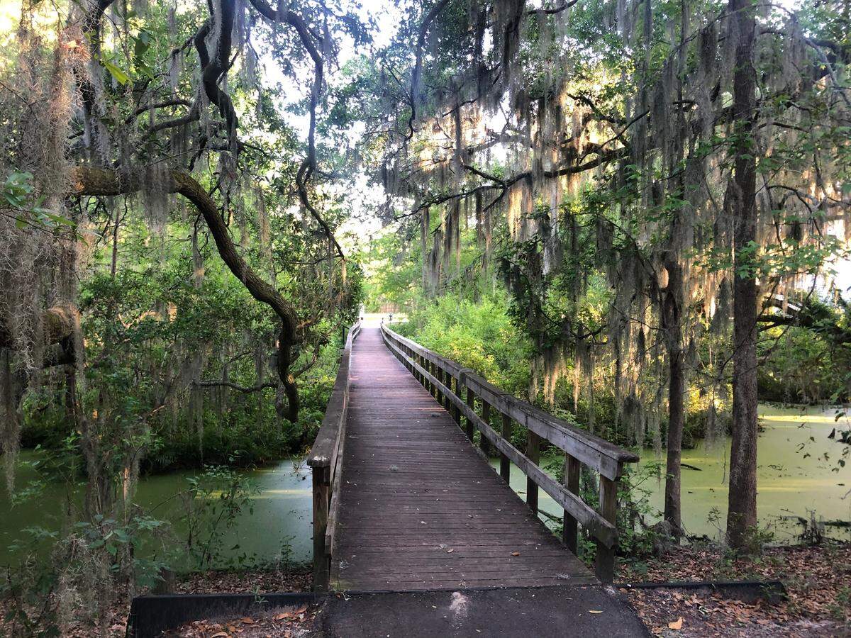 The boardwalk at Cypress Wetlands in Port Royal as seen in April 2020.