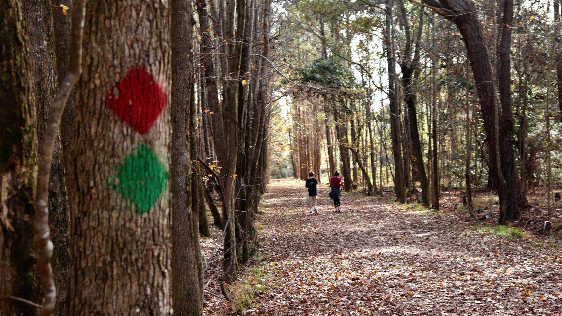 A Lowcountry park that allows bikes and horses and dogs -- oh my!