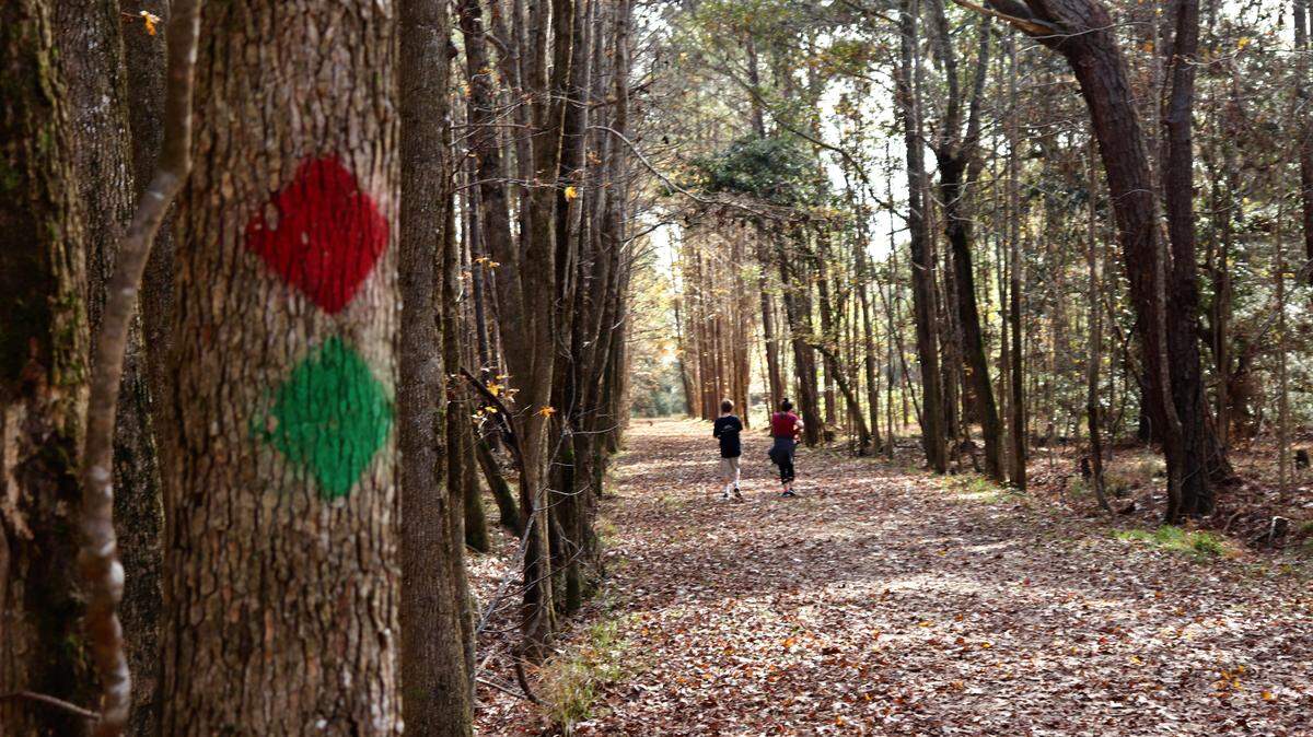 Color-coded trails will guide you on your journey along the nearly five miles of pathways at Meggett County Park. Whether hiking, biking or horseback riding, you will be sure to consider your visit time well spent.
