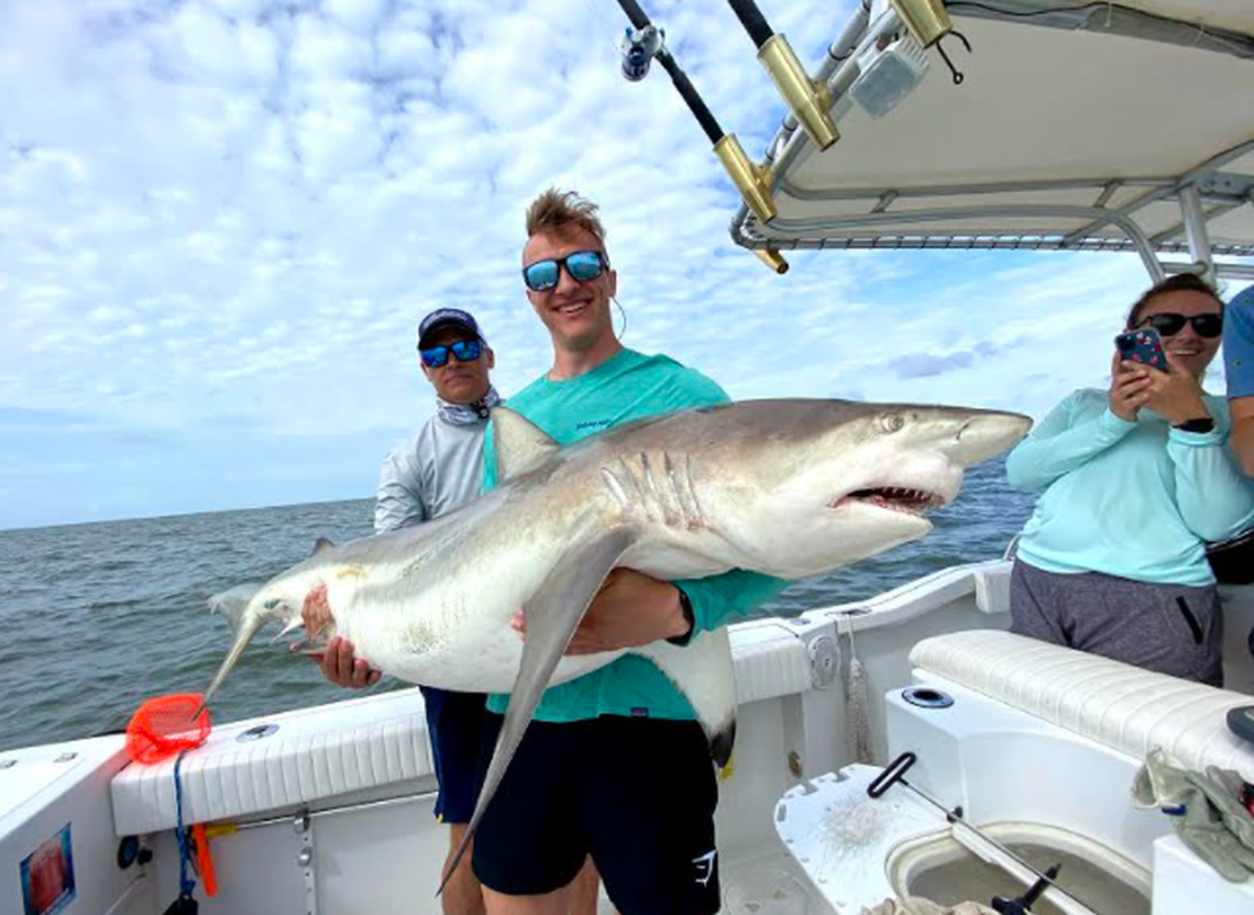 This blacktip shark was caught and released in August 2021 on the boat of local shark expert Chip Michalove, owner and operator of Outcast Sport Fishing on Hilton Head Island.