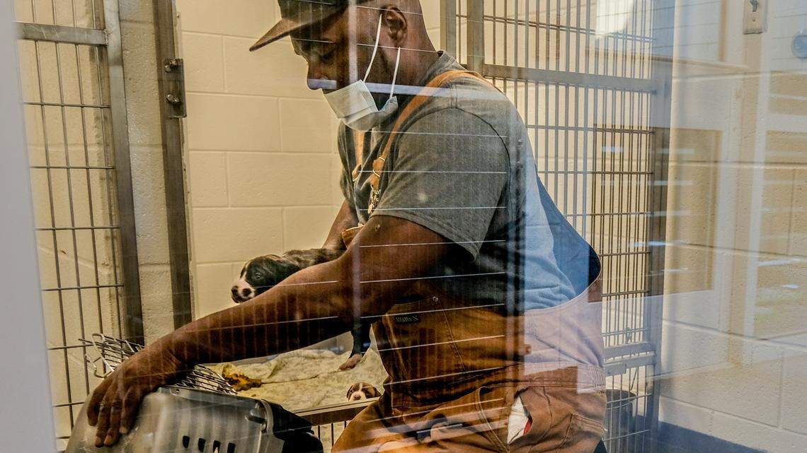 Hace 21 años que le quitaron la licencia a un hombre de SC. Su vida se fue con ella