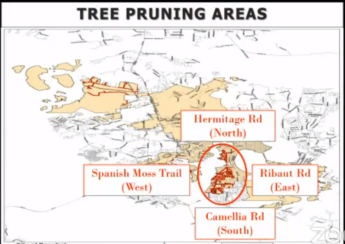 Dominion Energy is planning to trim trees in these areas of Beaufort Jan. 3-March 1.