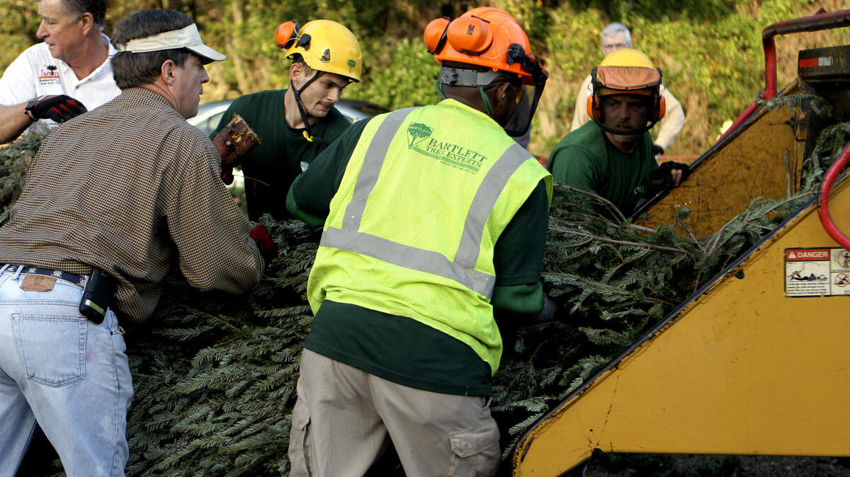 Workers feed Christmas trees into a wood chipper on Lady's Island in January. Instead of turning Christmas trees into mulch this year, Beaufort County's tree-recycling program will send them to Evergreen Recycling to be converted to biomass fuel, the county's recycling coordinator said.