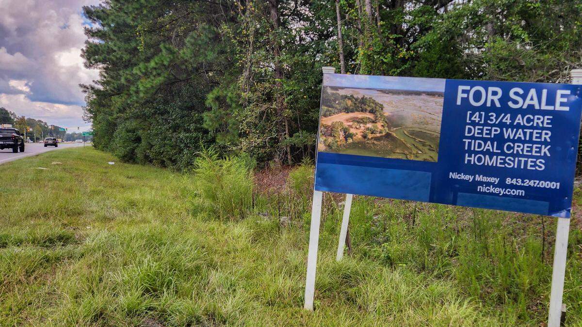 While this sign advertises four deep water lots along S.C. 170 in Okatie, a zoning request before Beaufort County is seeking to change nearly 72 acres of this forested land from rural to neighborhood for a residential community with some commercial space along the highway. Staff recommended the change because it would make a walkable community between itself, Malind Bluff and Okatie Elementary School.
