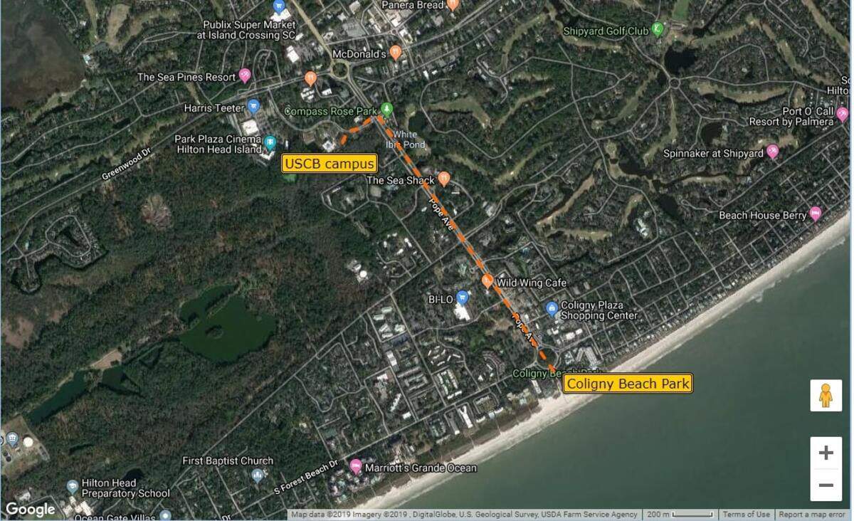 The route of the Coligny beach free shuttle running summer 2019 between the USCB campus parking lot on Hilton Head to the Coligny Beach Park. The shuttle is free and run by the Town of Hilton Head Island and Palmetto Breeze transportation