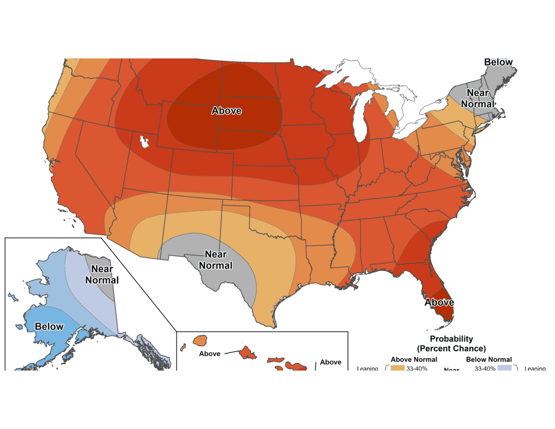 How to tell if family or pets are suffering from heat illness in extreme hot SC Lowcountry weather