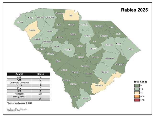 Rabid animals confirmed in half of South Carolina counties | Hilton ...