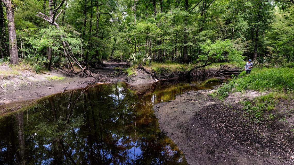 Lowcountry swamped: How to keep cookie-cutter growth from killing SC’s golden goose