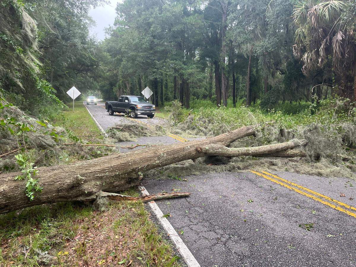 A tree down on Seaside Road just off Sea Island Parkway, on St. Helena Island, Wednesday, Aug. 30, 2023.