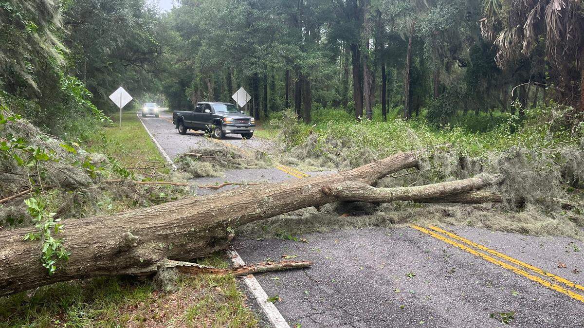 A tree down on Seaside Road just off Sea Island Parkway, on St. Helena Island, Wednesday, Aug. 30, 2023.