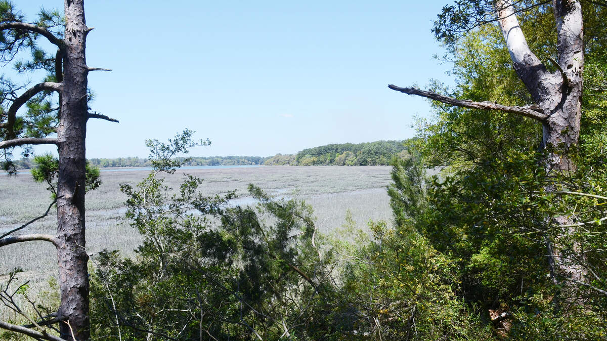 Pinckney Point, photographed earlier this year, is surrounded by the Okatie, pictured, and Colleton Rivers.