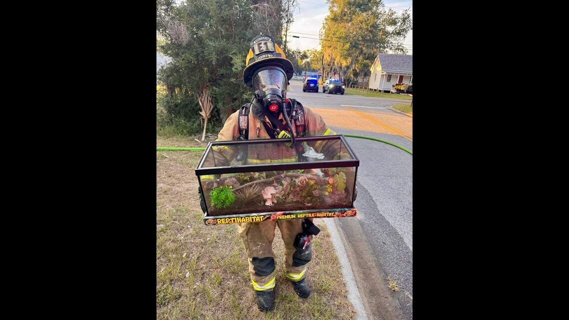 Firefighters rescue these scaly creatures during Monday night Beaufort blaze