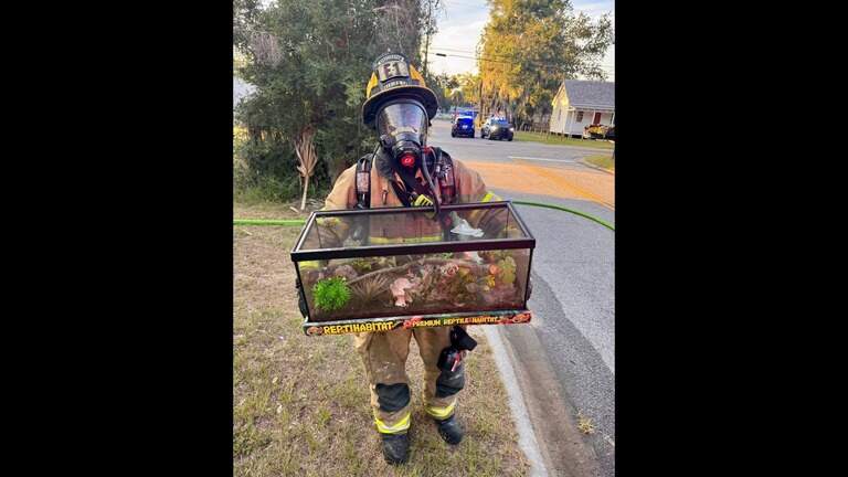 Firefighters rescue these scaly creatures during Monday night Beaufort blaze
