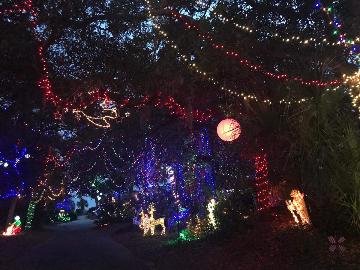 The lights swagged above Dove Street make a glowing alley for drivers to enjoy.
