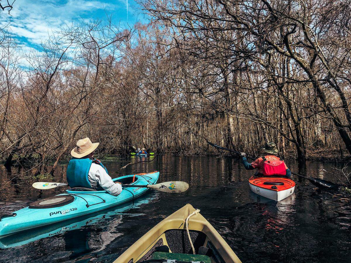 In the warm air of an early spring afternoon on the Edisto River near Jacksonboro, kayakers George Hancock of Beaufort and Jimmy Steinmetz of Hilton Head negotiate a willow brake and steer for clear water. This section of the lower river is relatively free of obstructions, but a kayaker or boater must keep vigilant.