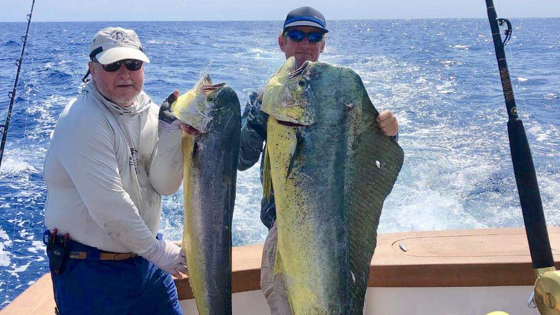 How ‘forest bathing’ and ‘earthing’ can launch you right out of your own generation