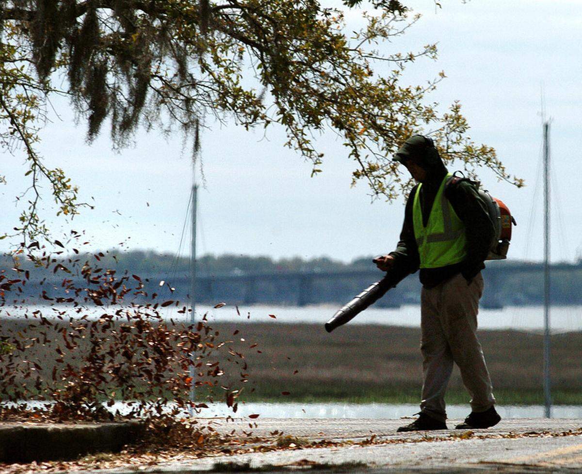 Should Raleigh restrict gas-powered leaf blowers?