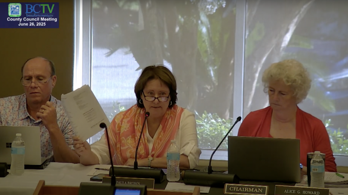 Paula Brown, Beaufort County Council member representing District 8, holds up a pamphlet that included a list of the council members’ home addresses. The pamphlet, she said, was passed around during a “chat with council” event on St. Helena Island, and was a threat to their safety as public officials.