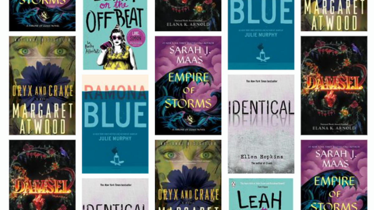 Six more books are returning to Beaufort County schools after review